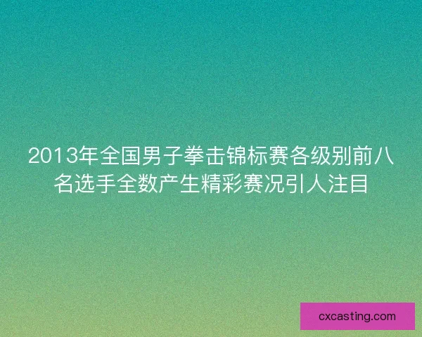 2013年全国男子拳击锦标赛各级别前八名选手全数产生精彩赛况引人注目