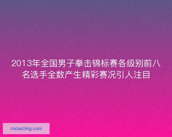 2013年全国男子拳击锦标赛各级别前八名选手全数产生精彩赛况引人注目